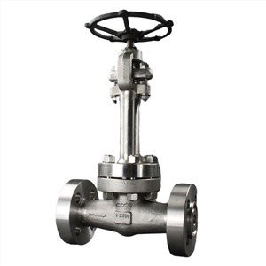 Cryogenic Uporaba Globe Ventil